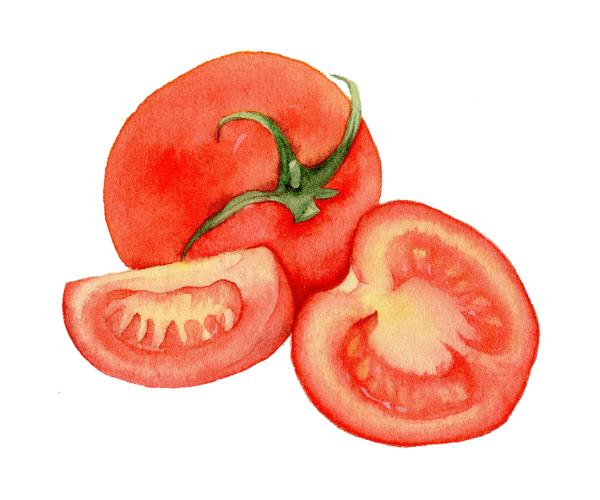 Tomatenscheiben